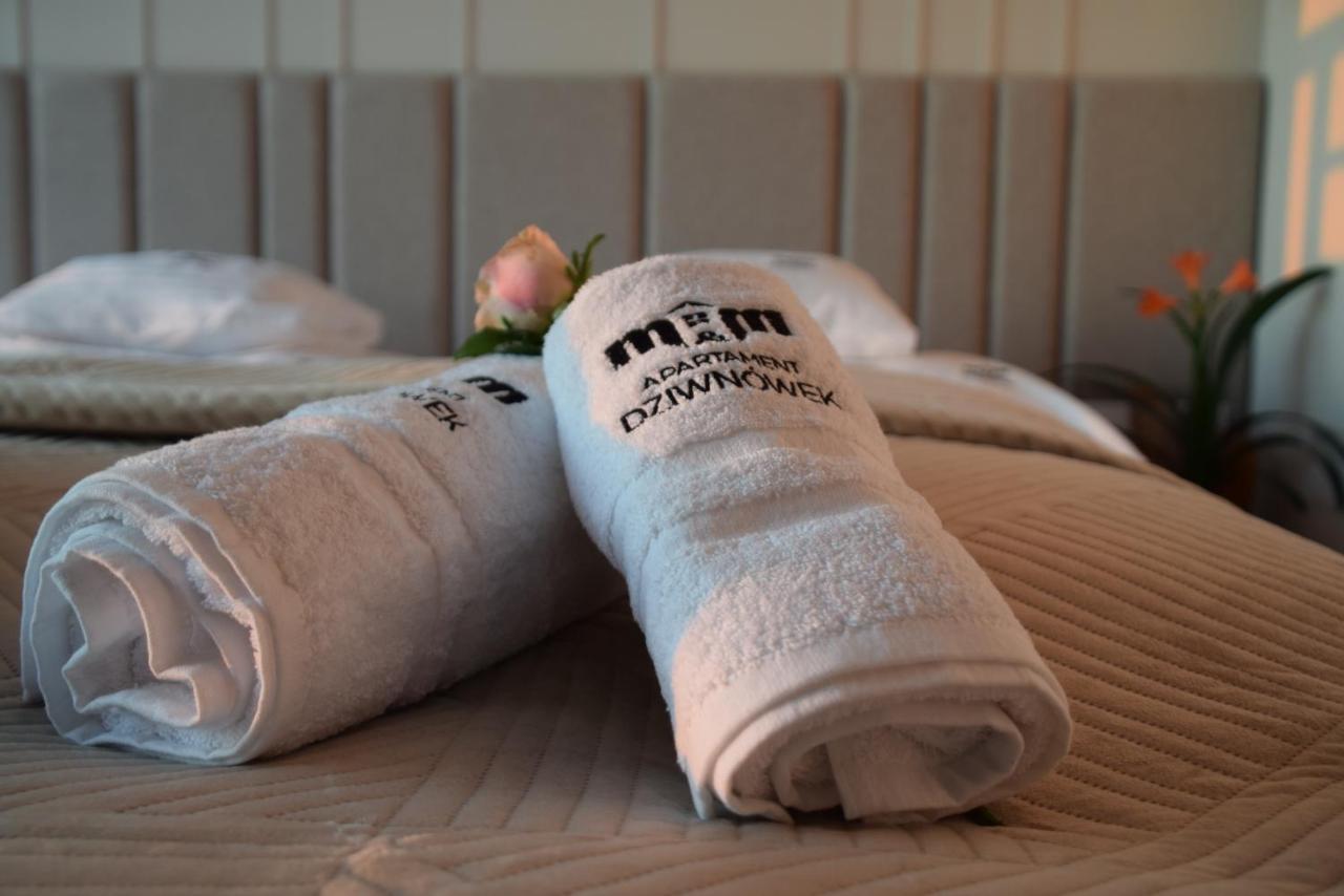 M&M Apartament דז'יבנובק מראה חיצוני תמונה